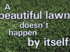 a-beautiful-lawn-doesnt-happen-by-itself